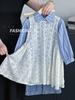 Vestido Elegante para Niñas Tutú 2026 Nuevo Estilo Encaje Moda Versátil Vestido tipo Tanque Sin Mangas Ropa de Abrigo