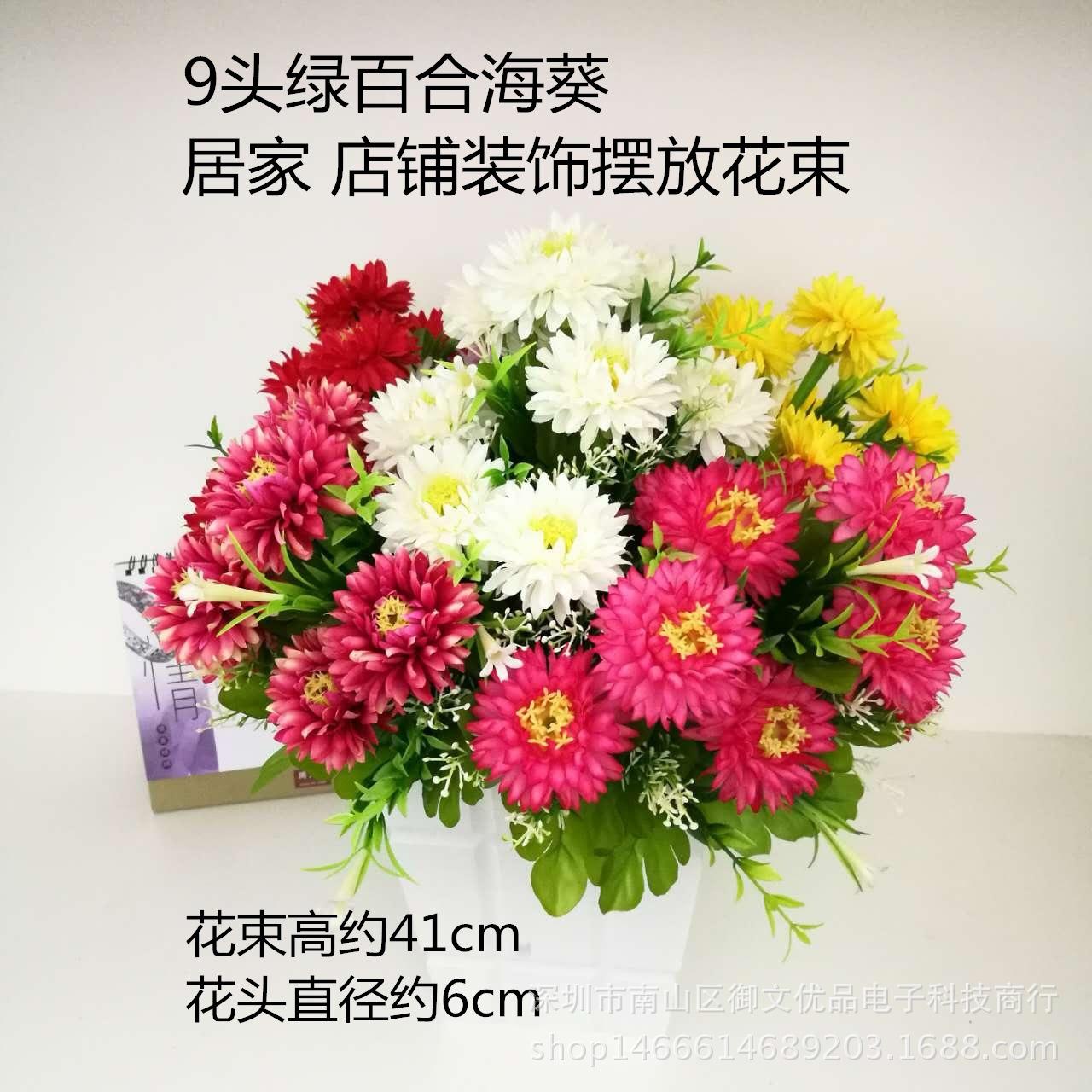 9头绿百合海葵 封面_副本
