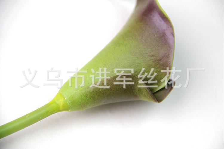 xiao2