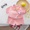 Conjunto de duas peças de roupa feminina casual para bebês, conjunto de duas peças de roupa para meninas com lapela de flor pequena e manga curta, verão 2023