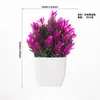 Plantas em Vasos Pequenos para Uso Interno e Externo, Estúdio, Hotel, Decorações de Mesa, Adereços para Fotografia de Festa, Alta Simulação