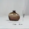 Venta al por mayor del fabricante Jarrón de Vidrio de Color de Diámetro Pequeño Jarrón para Flores Hidropónicas Decoración de Escritorio para Sala de Estar Adornos Botella de Vidrio