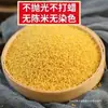 Mijo Amarillo, Mijo Nuevo, Granos Frescos Fragantes y Pegajosos de la Temporada (Paquete de 2.5 kg), para Cocinar Gachas y Arroz, de Producción Agrícola