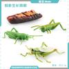 Simulación sólida Araña Naruto ciempiés modelo de insecto juguete para niños mariposa abeja animal decoración bandeja de arena