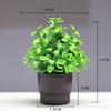 Simulação de planta verde cilindro de planta em vaso de plástico Simulação de eucalipto falso terno de planta verde ornamentos de planta de flor artificial de plástico bonsai