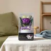 Flores Preservadas Transfronterizas Terminadas, Rosas Frescas, Plantas en Maceta, Decoraciones de Escritorio, Regalos de Navidad y San Valentín para Amigos