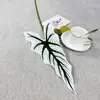 Planta Verde de Nuevo Producto Transfronteriza Hoja de Alcatraz Hoja de Begonia Hoja de Taro de Colores Planta Guía de Camino de Boda Muro de Plantas Diseño Floral DIY