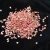 Grava de Piedra Roja Natural Piedra Desnuda Piedra para Acuario Piedra para Bonsái Paisajismo de Jardín Piedra Decorativa Fabricante Venta al por Mayor Precio de 100g