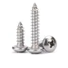 Tornillos Autorroscantes Cabeza Redonda Cruzada Acero Inoxidable 316 Estándar Nacional Cabeza Plana Extendida Cabeza Grande Diente de Madera Mm2M3M4M5M6