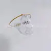 Lindo Colgante de Almacenamiento de Cabeza de Gato Grande, Caja Creativa Transparente para Guardar Pelo de Gato, Colgante de Almacenamiento de Gato Extra Grande