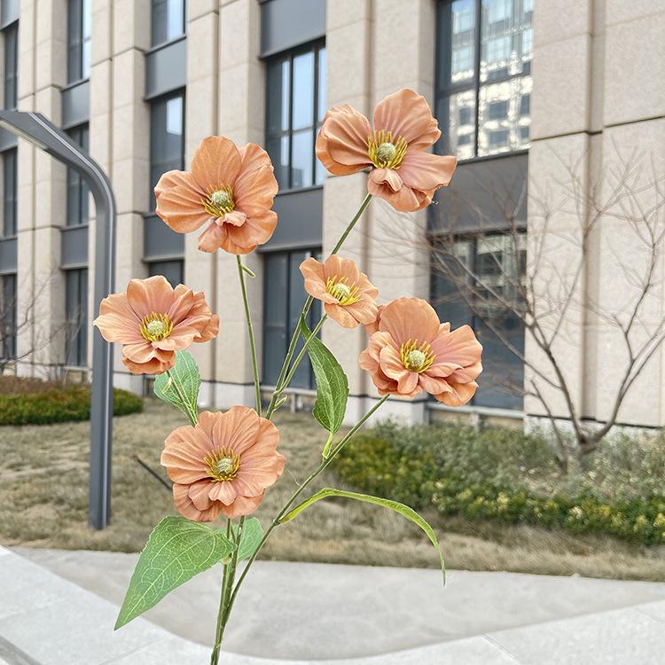 6头单支蝴蝶花-sxljlx-咖色.JPG
