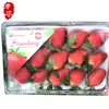 Caja de embalaje para fresas 10/12/15/20 caja transparente desechable para fresas Caja transparente a prueba de golpes exprés para fresas
