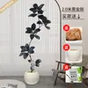 Planta Artificial Verde Grande Black Diamond Árbol de Goma Planta en Maceta de Interior para Sala de Estar Decoración de Planta de Árbol Imitación de Lujo Ligero de Gama Alta