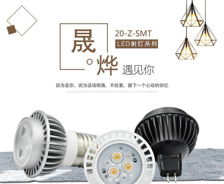 20-Z-SMT_01.jpg