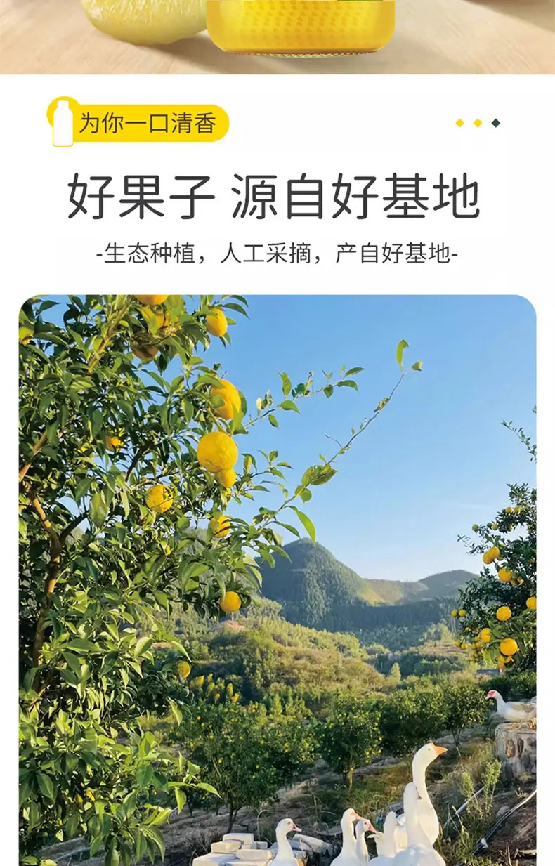 双柚复合果汁详情图5