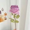 Francês Romântico Coca-Cola Borda Rosa Simulação Flor ins Estilo Quarto Decoração Ornamentos Coração da Menina Piquenique Foto Props