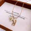 Collar Colgante con Borla de Pony, Estilo Dulce y Fresco, Cadena de Suéter de Moda, Diseño Único, de Nicho, Joyería Exquisita y Versátil para Mujeres