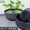 Maceta Grande Espesa de Resina Plástica con Patrón de Piedra Imitación para Plantas Acuáticas como Nenúfares, Centella Asiática y Otras