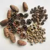 Conjunto Combinado de Pinhas, Lascas de Madeira, Folhas, Flores Secas e Frutas Secas, Enfeites Decorativos para Jardim de Infância, Adereços Fotográficos Retrô