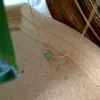 Colar de Contas de Transferência Sansheng III Luxo Leve Design de Nicho Senso de Design Colar de Imitação de Jade Hetian Acessórios de Senso Avançado Joias em Lote