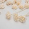 Pe Algodón Espuma Difusor de Aroma Varillas Accesorios Difusor de Aroma sin Llama Flor Artificial Varillas de Aroma Decorativas Interiores Flores Secas Mayoreo