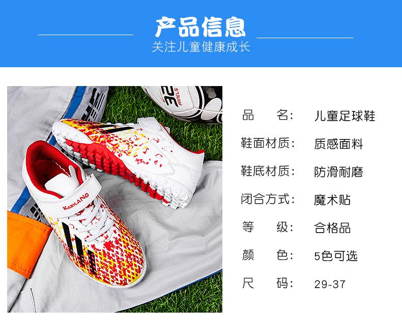版面 (13).jpg
