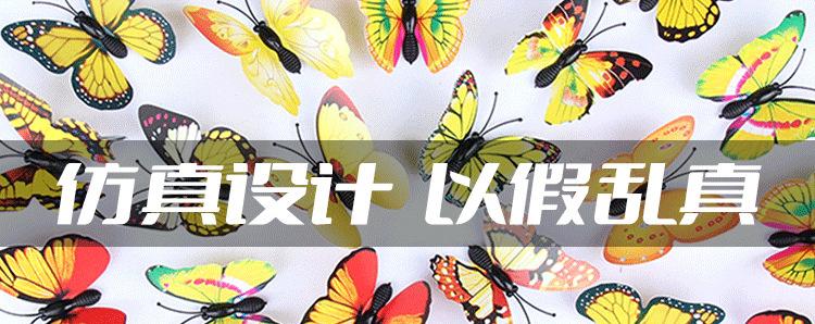 临时详情_01.png