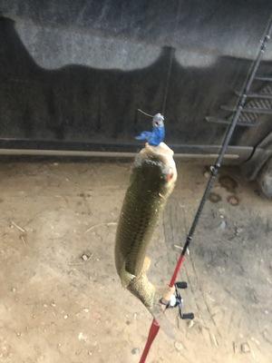 O1CN01492JdP1OkL17MMDk8_!!0-ra