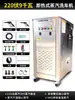 Máquina de Lavado de Autos a Vapor con Calentamiento Eléctrico Instantáneo Tienda de Lavado de Autos Alta Presión 380V Máquina Comercial de Limpieza a Vapor Configuración de Doble Pistola