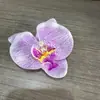 Pinza para el pelo de Phalaenopsis con Ambiente de Hada Súper Flor para el Cabello Estilo Mori para Mujer Pinza Lateral de Pico de Pato Placa Trasera para el Cabello Pinza de Sujeción para el Cabello Pinza para el Pelo