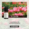 Fabricante de Fuente de Aromaterapia Aceite Esencial de Aromaterapia Soluble en Agua 10 ml Fragancia Vegetal L Difusor Ambientador Máquina de Aromaterapia Aceite Esencial