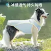 Novo Colete Fresco, Anti-Queda para Cães Grandes, Proteção Solar, Refrescante, para Border Collie, Golden Retriever de Porte Médio a Grande, Roupa Fresca para Cachorro