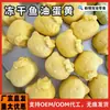 Snacks para Mascotas Cubos Pequeños Liofilizados de Pupas de Gusano de Seda, Camarón, Carne de Pato, Hierba para Gatos, Hierba Gatuna, Empacados Individualmente para Hámsters, Gatos y Perros