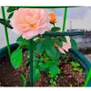 Suporte de Planta Pinça de Caranguejo em Estoque, Suporte de Flores, Haste de Suporte para Phalaenopsis, Estrutura de Proteção de Folhas Anti-Queda, Direto da Fábrica, Dropshipping de Peça Única