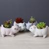Maceta de cerámica para animales pequeños de hogar nórdico moderno, para interiores, creativa, simple, para escritorio, ventana, artesanías, adornos