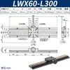 Lwx60 Cremallera de Engranajes de Carrera Larga Deslizador de Ajuste Fino Canal de Cola de Cola Eje X/Z Soporte de Cámara Deslizador para Máquina de Cribado CCD