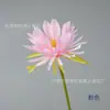 Epiphyllum Único Estilo Han Adereços de Tiro Decoração de Estrada de Casamento Flores Simuladas Atacado Flores Artificiais Decoração de Casa Flores de Seda