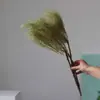 Flores Verdes Eternas, Atmosfera de Primavera, Buquês para Loja, Decoração de Roupas Femininas, Materiais Florais de Galhos Secos, Cena de Arranjo Floral para Recepção