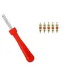 Miolo de Válvula, Agulha de Ar, Miolo de Válvula Dourado Universal para Pneus, Agulha de Válvula, Miolo de Válvula, Válvula de Escape para Pneu Sem Câmara