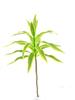 Nova simulação fábrica de plantas verdes Phnom Penh Lily bambu macio jardim decoração de casamento folha verde fábrica de flores falsas atacado