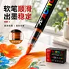 Bolsa de Regalo con Amplia Gama de Colores, Juego de Marcadores Acrílicos Líquidos Directos, 408 Colores, Series de Colores Cálidos y Fríos, Plumas de Dibujo Artístico Profesionales