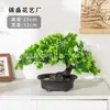 Planta de Pinheiro Artificial Acolhedor em Vaso Planta Verde de Interior Bonsai Decoração de Flores Artificiais para Desktop Decoração de Casa Ornamento Árvore de Pinheiro