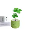 Planta em vaso Árvore de Ferro Mexicana trevo de quatro folhas, planta verde de interior para escritório, flor de humor para mesa de escritório, para creche volta às aulas