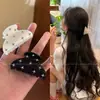 Pinza para el pelo estilo cielo estrellado de Zhang Ruonan para mujer, Pinza para el pelo pequeña de nuevo diseño 2026 para la parte posterior de la cabeza, Accesorio para el pelo