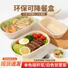 Set Seleccionado de Lonchera con Botella de Agua Caja Bento Apta para Microondas Para Oficinistas Estudiantes Contenedor de Almuerzo Caja para Frutas Conservación de Frescura