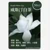 Difusor Inteligente de Aromaterapia, Difusor con Temporizador de Aceite Esencial de Fragancia, Difusor Automático de Aroma USB, Uso en el Hogar Recarga de Aceite Esencial P8