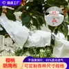Tecido Impermeável Isolante para Árvores Frutíferas Personalizado Pomar de Cerejeiras Branco Translúcido Respirável Tecido Impermeável para Árvores Frutíferas Sem Estrutura