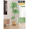 Planta Viva Jacaranda Sala de Estar Planta Grande en Maceta Interior Fácil de Mantener de Pie Flor Real Paisaje Jardinería para Absorber Formaldehído