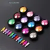 Uñas de arte de red de tremolo transfronterizo polvo de espejo mágico de moda uñas de arte joyería harina de espejo polvo de gafas de sol nuevo polvo láser polvo de titanio
