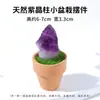 Jingde Jewelry Adornos de Piedra Cruda de Cristal Natural Paisaje Micro Paisajismo DIY Plantas en Maceta Simuladas Decoraciones de Escritorio de Oficina